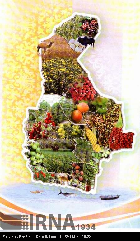 Sistan-Baluchestan declared Iran's green province Sistan-Baluchestan declared Iran's green province