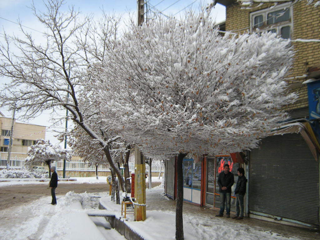 مدارس اغلب شهرستانهای اردبیل برای چهارمین روز متوالی تعطیل شد