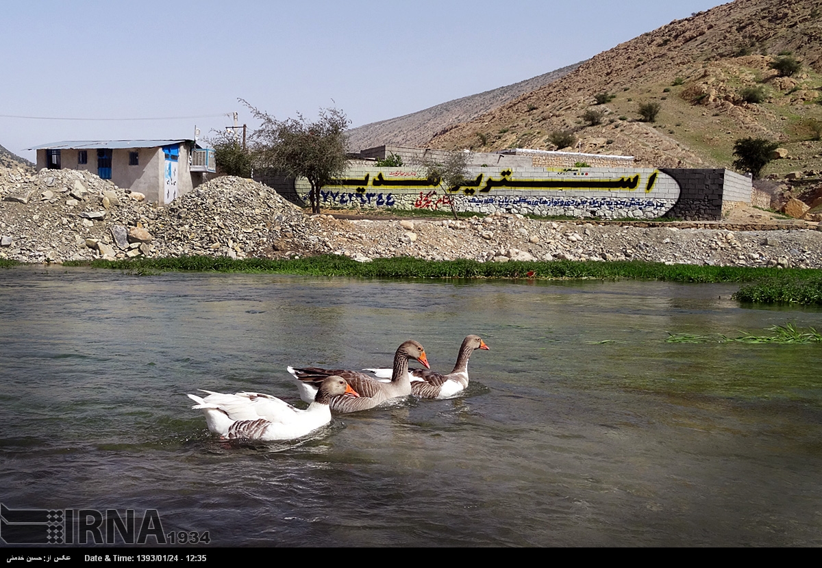 چشمه طبیعی کورسا