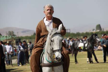 سومين جشنواره اسب اصيل ايراني نژاد كردي در مهاباد برگزار شد