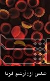 Iranian nanocarriers facilitate controlled drug delivery Iranian nanocarriers facilitate controlled drug delivery