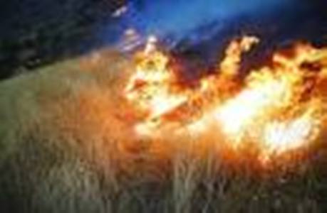 هشدار رییس منابع طبیعی میانه درمورد احتمال آتش سوزی در مراتع