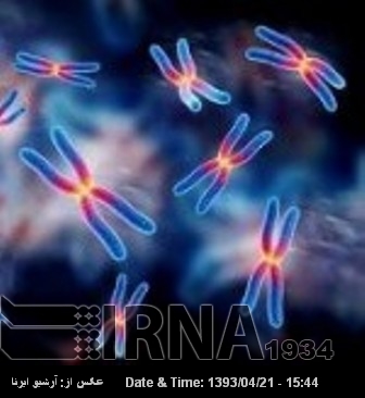 Iran makes new drug, gene carrier Iran makes new drug, gene carrier