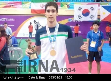 Iran wins gold in South Korea Taekwondo Competitions Iran wins gold in South Korea Taekwondo Competitions
