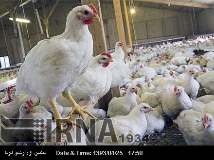 Iran makes nanoabsorbent for determining sulfonamide Iran makes nanoabsorbent for determining sulfonamide