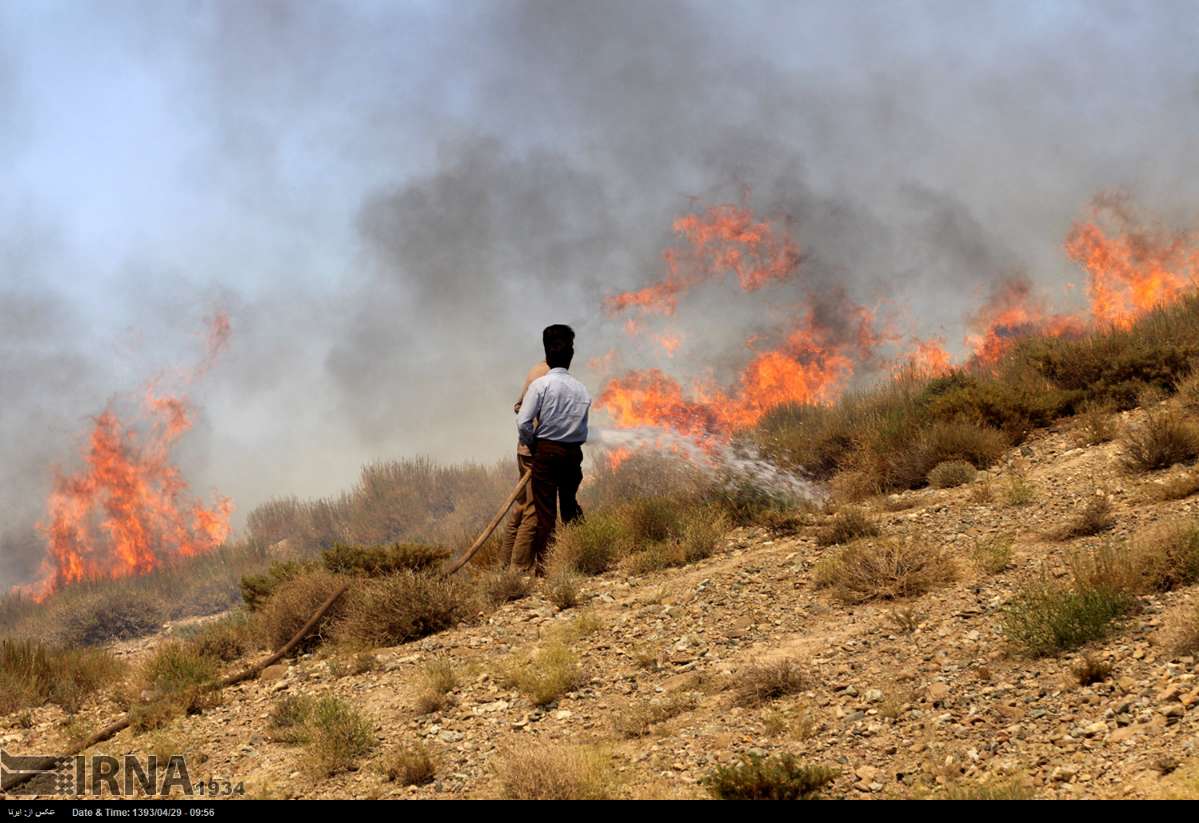 آتش سوزی در منابع طبیعی ساردوئیه