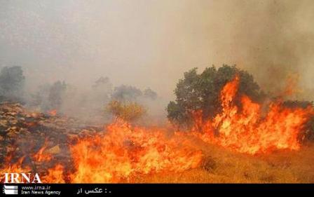 مراتع فسای فارس درآتش سوخت