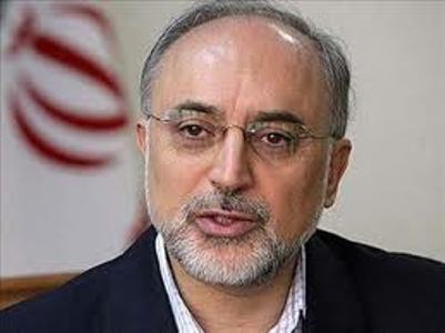 Negotiating team follows redlines determined by S-Leader: Salehi Negotiating team follows redlines determined by S-Leader: Salehi