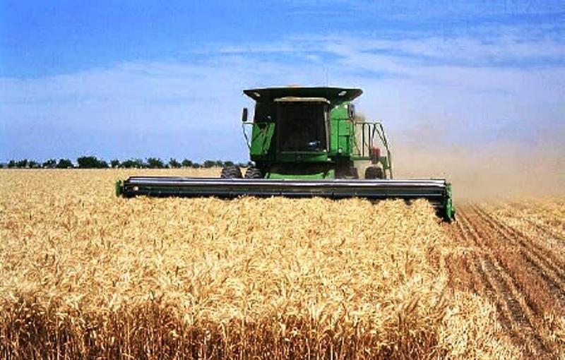 45هزار تن گندم از مزارع گيلانغرب برداشت شد