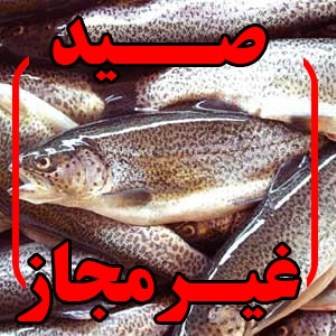 پنج صیاد متخلف در كوهرنگ دستگیر شدند پنج صیاد متخلف در كوهرنگ دستگیر شدند