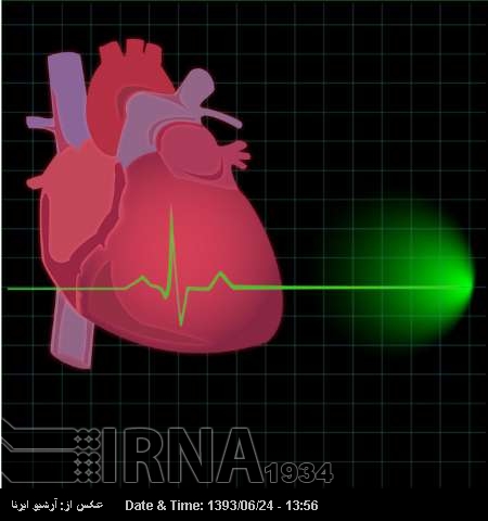 Iranian cardiology team to perform TAVR Iranian cardiology team to perform TAVR