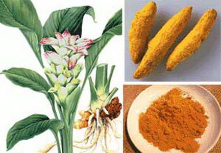 اولین نانو داروی گیاهی ایرانی با ماده موثره زردچوبه