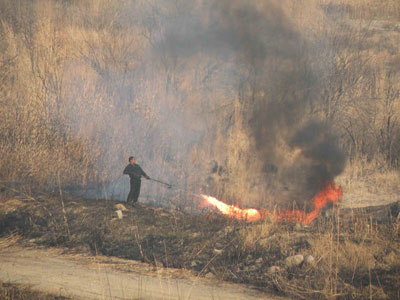 مديركل منابع طبيعي: 90 آتش سوزي در جنگل ها ناشي از عامل انساني است