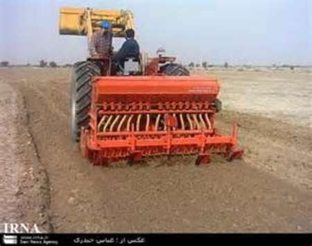 آغاز كشت پاييزي گندم وجو در البرز/ پوشش 20 هزار هكتار از اراضي