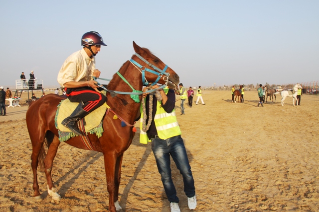 هفته سوم مسابقات اسب اصيل عرب خوزستان در دزفول برگزار شد