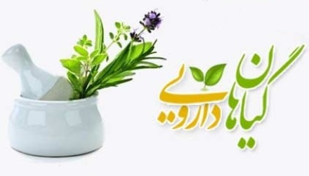 گیاهان دارویی ، درمانگر دردهای اقتصادی