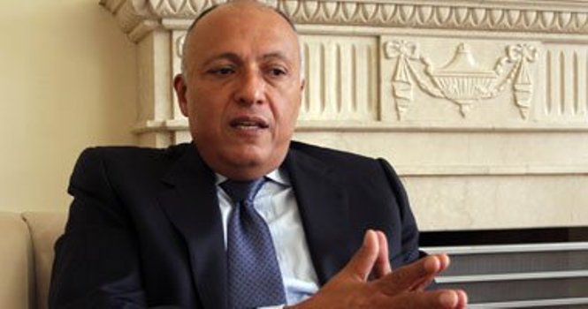 وزيرخارجه مصر: از عراق در مبارزه با تروريست ها پشتيباني مي كنيم