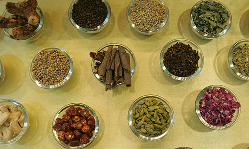 https://img9.irna.ir/old/Image/1393/13931007/81440879/N81440879-6164726.jpg