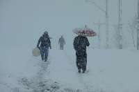 برف و سرما مدارس پیرانشهر را تعطیل كرد