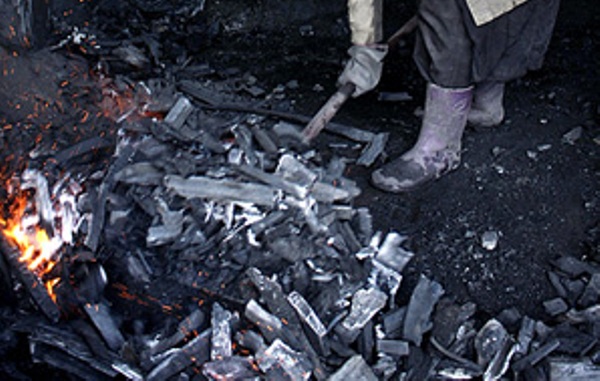 40 كيسه زغال چوب غير مجاز درمعمولان پلدختركشف و ضبط شد