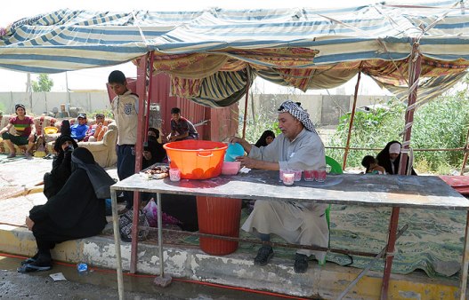 مسیر نجف تا كربلا، جاده حسینیه ها