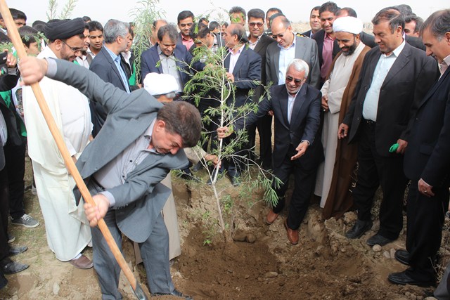 آغاز غرس 40 هزار نهال در جنوب كرمان