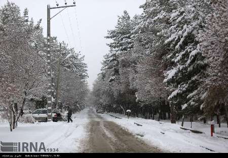 تعطیلی مدارس برخی مناطق استان كرمان در پی بارش برف