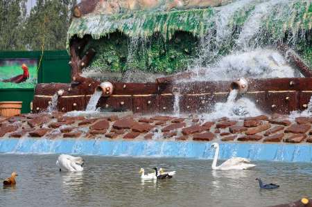 نخستين باغ پرندگان شرق كشور در مشهد افتتاح شد