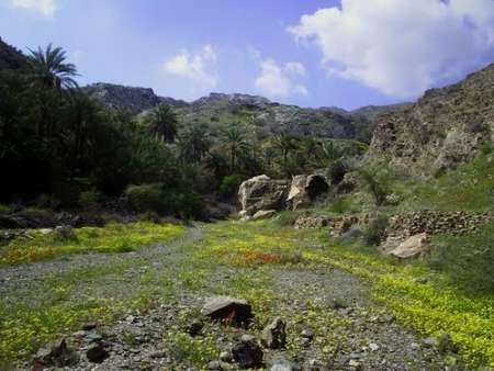 رودان ، بهشت جنوب و پذيرايي ازمسافران وگردشگران