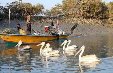 تالاب بین المللی آذینی سیریك هرمزگان منطقه مهم گردشگری