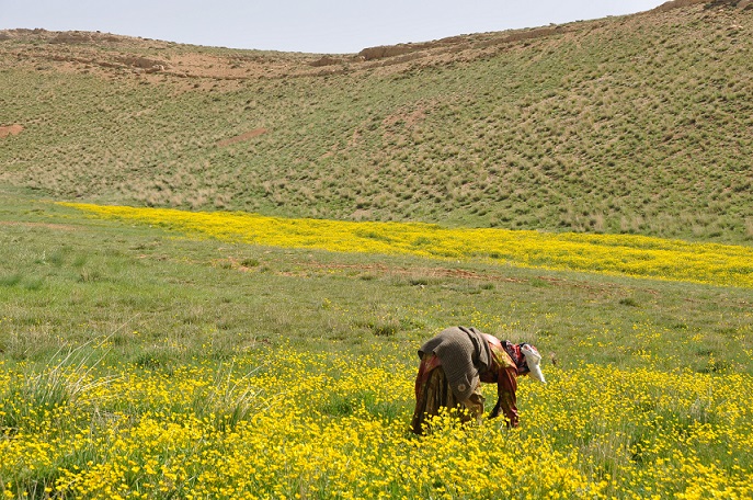 ونك، جلوه بي نظير طبيعت در غرب سميرم