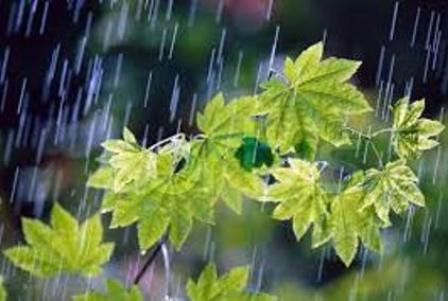 كاهش بارندگی در 18 استان كشور