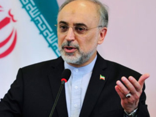 صالحی: هر ساله شاهد توسعه دستاوردهای جدیدی در صنعت هسته ای هستیم صالحی: هر ساله شاهد توسعه دستاوردهای جدیدی در صنعت هسته ای هستیم