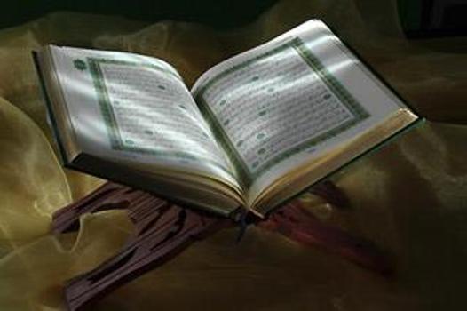 برگزاري طرح حفظ موضوعي قرآن كريم در دانشگاه ها برگزاري طرح حفظ موضوعي قرآن كريم در دانشگاه ها