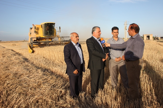 فرماندار شوش:آتش زدن بقاياي مزارع گندم ممنوع است