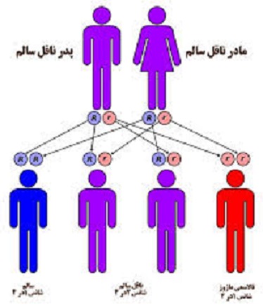 ابتلا به بيماري جديد تالاسمي در خراسان رضوي به حداقل رسيده است