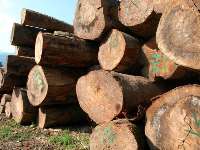 حدود 10تن چوب آلات قاچاق جنگلي در آمل كشف وضبط شد