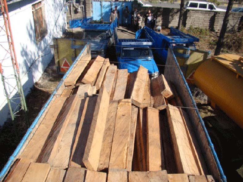 بيش از هشت هزار اصله چوب قاچاق در آستارا كشف شد