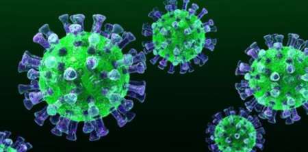 قرنطینه 700  تن در كره جنوبی از بیم گسترش ویروس مرس