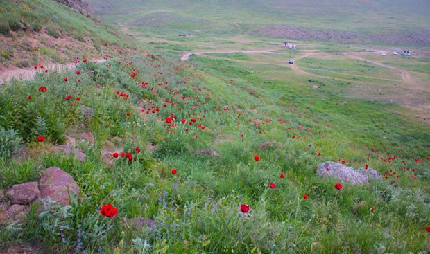 دشت لار؛ تهدید چرای دام، ساخت و ساز بی رویه، هجوم گردشگران