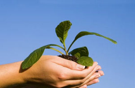 نابودی محیط زیست، عامل توسعه ی ناپایدار نابودی محیط زیست، عامل توسعه ی ناپایدار