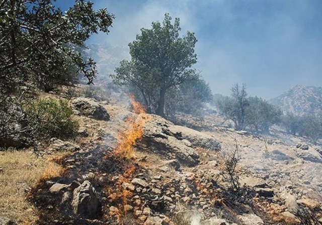 وقوع آتش سوزي در پنج نقطه از جنگل هاي مازندران