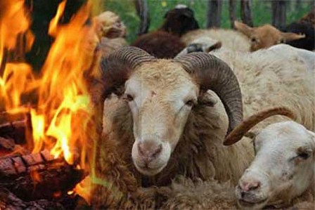 50 راس گوسفند در ایوان در آتش سوختند - ایرنا