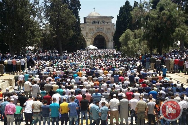 أبو سنينة يحذر من التفريط بالمسجد الأقصي المبارك أبو سنينة يحذر من التفريط بالمسجد الأقصي المبارك