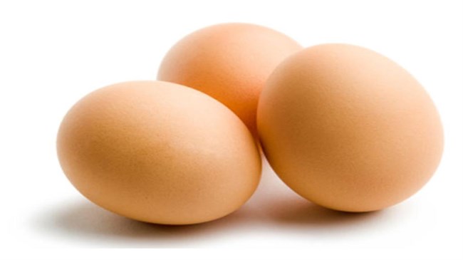 Iranians make SPF eggs Iranians make SPF eggs