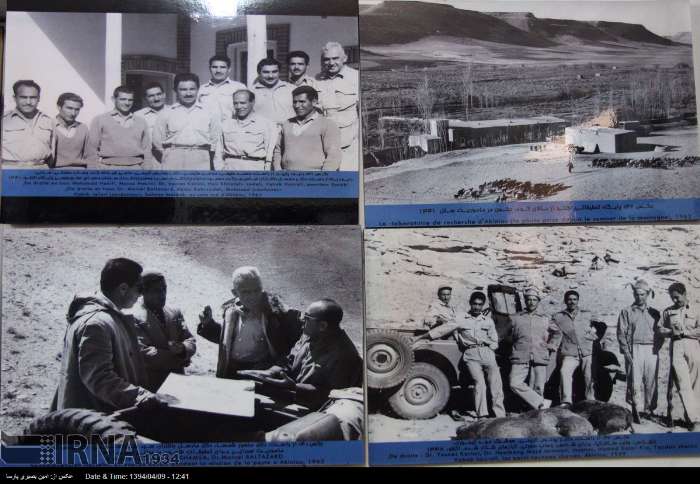 سفر به دنیای پروفسور بالتازار در موزه اکنلو