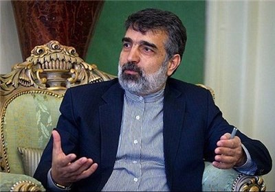 كمالوندي: حضور صالحي في فيينا لتسريع وتيرة المفاوضات كمالوندي: حضور صالحي في فيينا لتسريع وتيرة المفاوضات