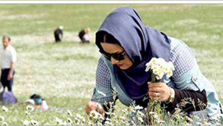 فرصت اقتصادي گردشگري طبيعي