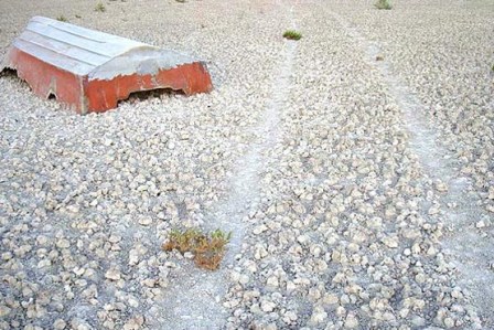 سدهای بالادست، تالاب بختگان را خشك كرده است سدهای بالادست، تالاب بختگان را خشك كرده است