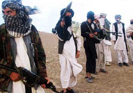 طالبان پاكستان به كمك داعش شتافت
